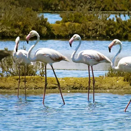 Apartment Albufeiraorada Splendor By Be Cherish